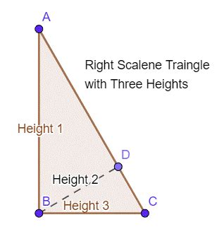 Scalene Triangle Definition Types Examples Lesson Study