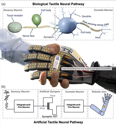 Electronic Skin Capable Of Feeling ‘pain Electronic Products