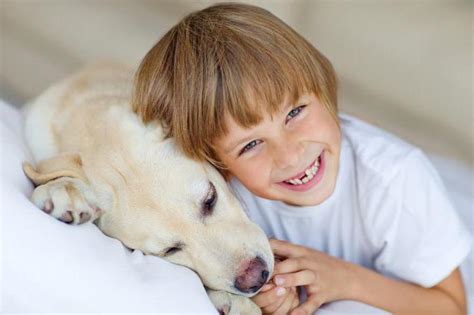 Если ребенка укусила собака что делать Применение лекарственных препаратов и особенности лечения