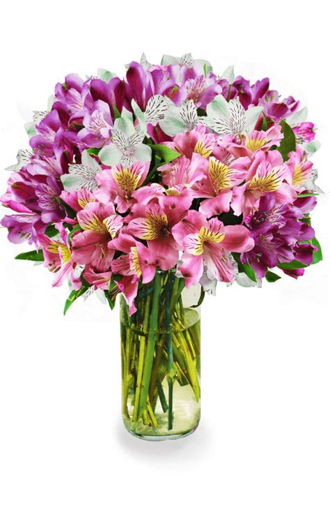 There are 50 in bloom flowers coupon codes and deals. Avas Flowers Coupon Code - Avas Flowers