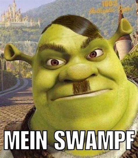 150 Funny Shrek Memes For True Ogres And Donkeys Fandomspot