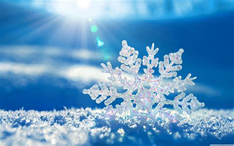 Winter Snowflakes Wallpapers Top Free Winter Snowflakes Backgrounds
