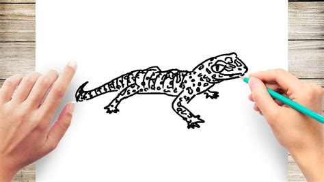 Https://tommynaija.com/draw/art Hub For Kids How To Draw A Gecko