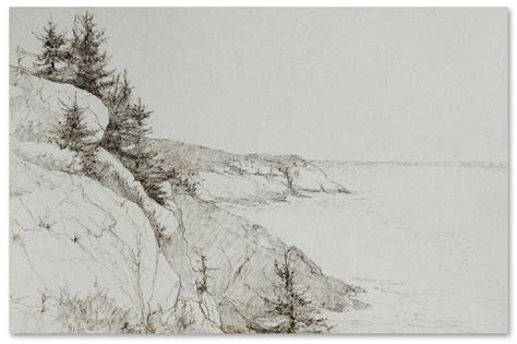 For a medium as i use my whole gamut of pens ranging from 0.25 to 0.4, and grey to achieve my desired level of smoothness between the brush pen and the thinner ink lines. Mark Haltof | Drawings | Contemporary Realist Painter