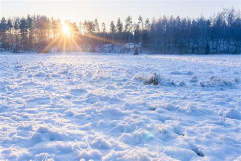 Grassland Field At Winter Stock Image Image Of Freeze 66380875
