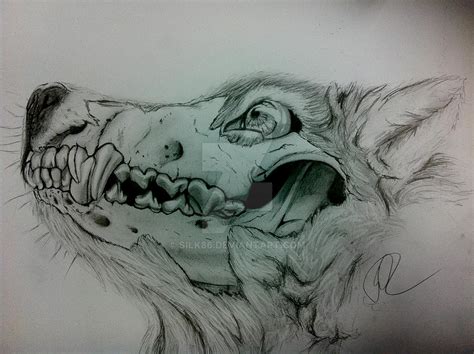 Wolf Skull By Silk86 On Deviantart