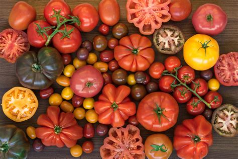 The Complete Guide To Every Type Of Tomato Naturefresh™ Farms