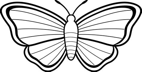 Art Clip Picture Butterfly Drawings Black And White Moth Design