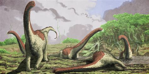 New Species Of Massive Dinosaur Discovered In Africa Huffpost