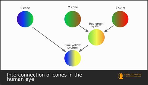 Converting Wavelengths To Rgb Color Values