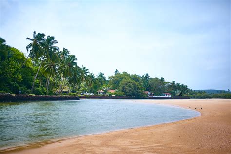 Calangute Beach North Goa How To Reach Best Time And Tips