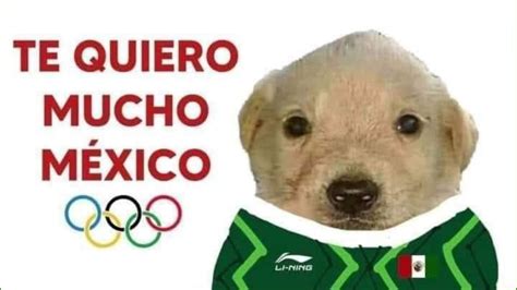 Te Quiero Mucho El Origen Del Meme Del Perrito Que Le Mandó Amor A Los Atletas Mexicanos En