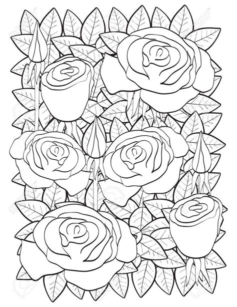 Mandala Y Rosa Para Colorear Imprimir E Dibujar Coloringonlycom Porn