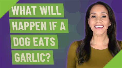 What Will Happen If A Dog Eats Garlic Youtube