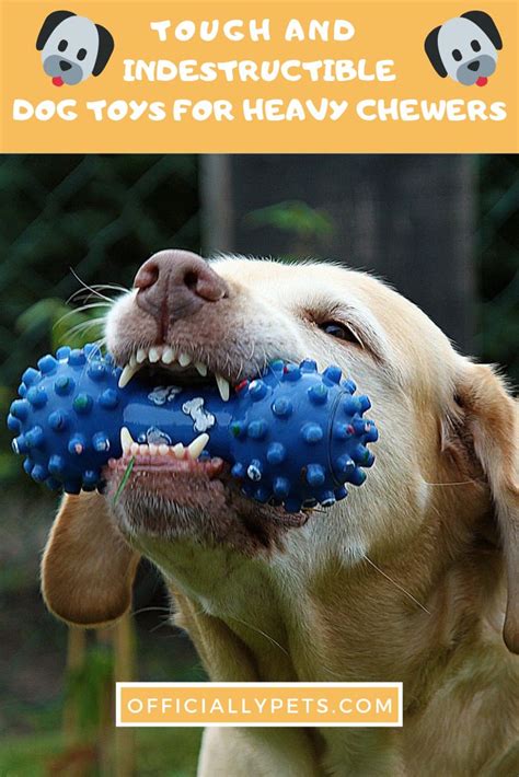 Top 7 Best Tough And Indestructible Dog Toys For Heavy Chewers 2019