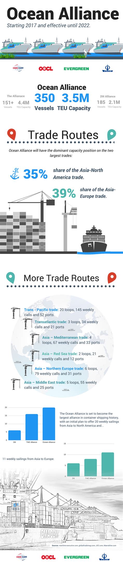 Infographic Key Info About The Ocean Alliance