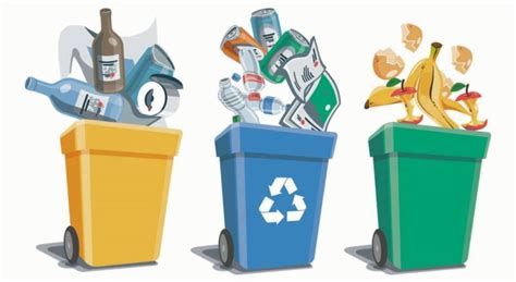 Why It Is Important To Segregate The Waste Properly NBEJN