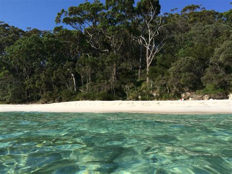 murrays beach booderee national park national parks outdoor beach