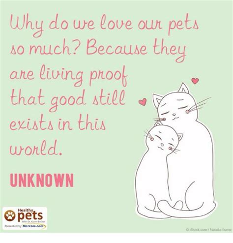 Why Do We Love Our Pets Ho Much Because They Ane Living Proof That