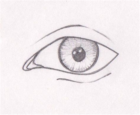 ¿quieres Aprender A Dibujar Ojos Te Enseñamos A Dibujar Ojos De