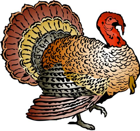 Turkey Clip Art Clip Art Of A Colorful Turkey Thanksgiving Turkey