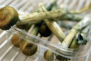 Magic Mushrooms Might Help Depression By Resetting The