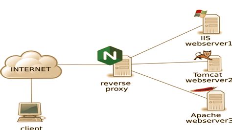 Reverse Proxy Server Technical Hosts