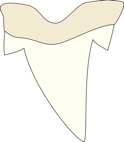 Free Free 197 Shark Teeth Svg SVG PNG EPS DXF File