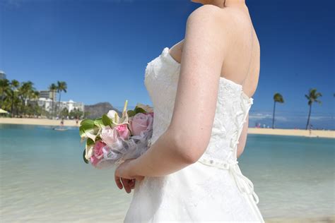 There will be many blooms to pick from: Hawaii Wedding Flowers: Green Anthurium Pink Rose