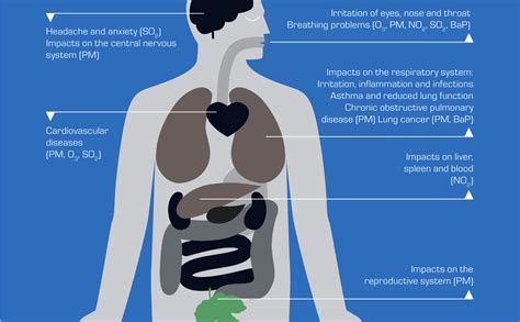 Chapter 2 Air Pollution And Its Impact On Health In Europe Why It