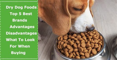 Super premium dog & cat food in india. Dry Dog Foods: Top 5 Best Brands, Advantages ...
