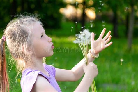 Cute Caucasian Little Girl Is Blowing On Dandelion Flowers In Summer