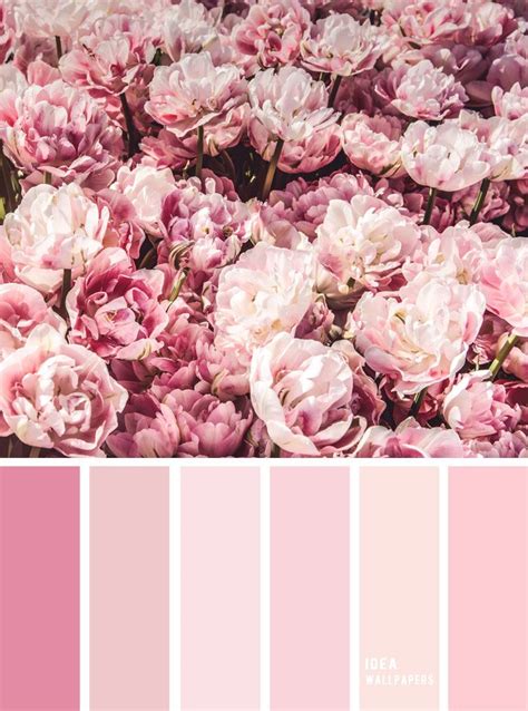 19 The Perfect Pink Color Combinations Pink Peonies Pink Hues