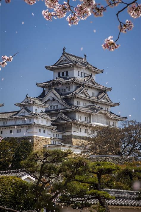 Himeji Castle During Cherry Blossem Japan Kevan Omeara