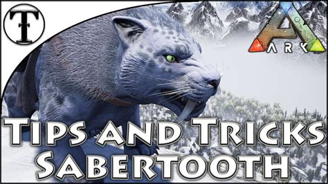 Fast Sabertooth Taming Guide Ark Survival Evolved Tips And Tricks