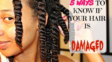 Check spelling or type a new query. NATURAL HAIR| 5 WAYS To Know if Your Hair is HEALTHY! (All ...