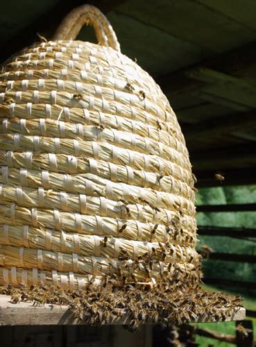 Straw Bee Skep Traditional Bee Skep Slovenian Beehive