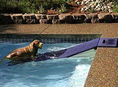 Why your dog needs a ramp or steps for above ground pools if a dog manages to get into a pool and cannot get out, or you are not there to help, your pooch will tire and drown. DIY Pool Dog Ramp | Dog pool, Dog pool ramp, Dog ramp