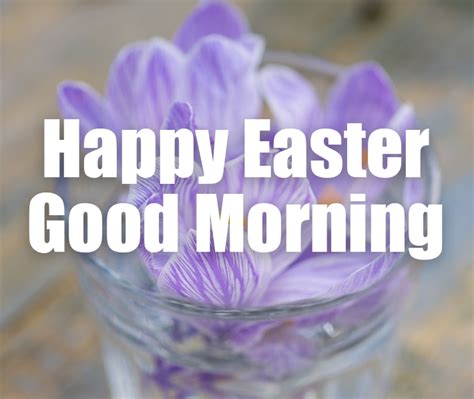 Lilac Happy Easter Good Morning Pictures Photos And Images For