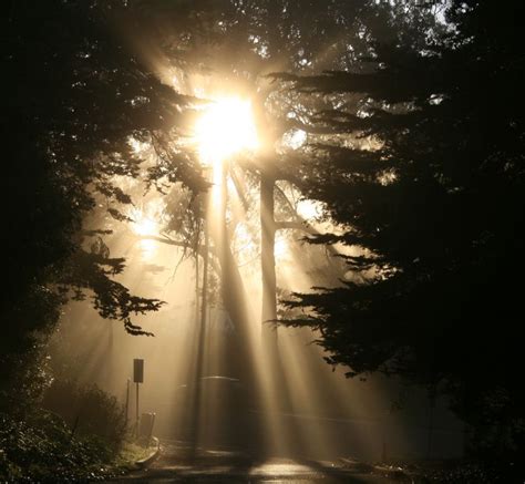 Crepuscular Rays Rays Of Sunlight That Appear To Radiate From The