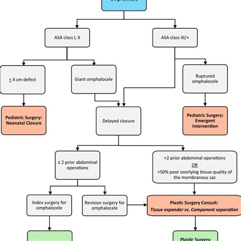 Treatment Algorithm For Management Of Abdominal Wall Reconstruction For