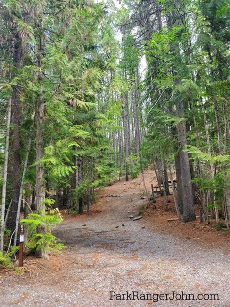 Fish creek campground is the only reservable campground on the west side of glacier national park. Fish Creek Campground - Glacier National Park | Park ...