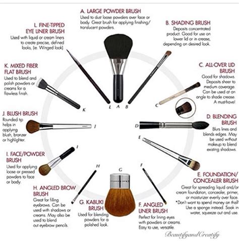 Makeup Brushes And Their Uses Musely