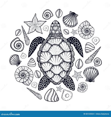 Sea Turtle And Shells In Line Art Style Hand Drawn Vector Illustration