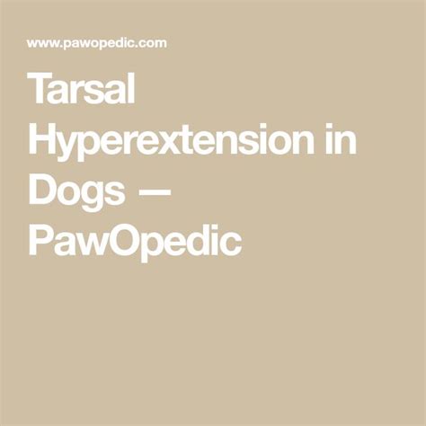 Tarsal Hyperextension In Dogs — Pawopedic Dogs Dog Info Prevention