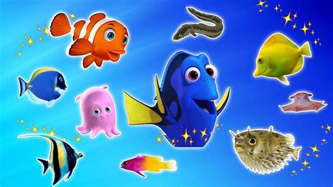 Learn Sea Animals New Water Animals Names For Children