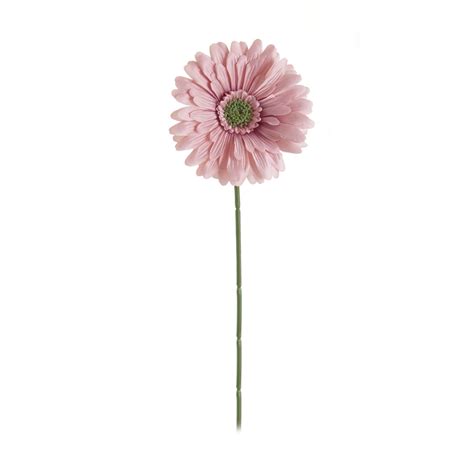 wilko gerbera single stem flower dusky pink wilko