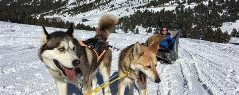 Top 5 Activities To Try In Grandvalira Andorra Ski Holidays Blog