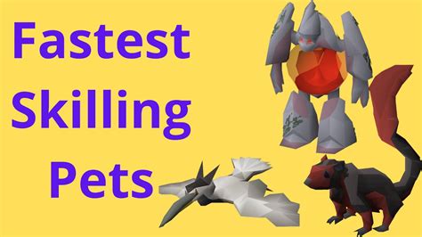 Fastest Skilling Pets Osrs 2020 Best To 99 And Post 99 Youtube