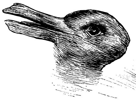 This Rabbitduck Optical Illusion Is Freaking People Out
